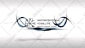create 20 amazing animated logo intro video 24hrs