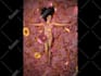 do professional 3d animations and special effects