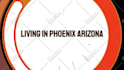10 bumper intro video cool logo animation