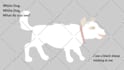 2d cartoon animation, 2d animation video, 2d character animation, 2d music video