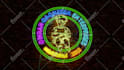 create stunning neon logo animation, neon sign effect and text animation