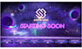 professional stream overlay and animated twitch overlay and logo, panels, alerts