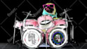 do this funny dj dog playing drum video ad