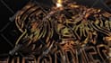 create 3d grunge rock logo intro