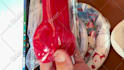 collecting samples, arranging shipments from china