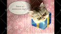 record my cat break through your birthday card