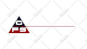 create a professional custom logo animation or intro videos