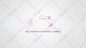 do custom logo design in 24 hrs