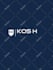 design a stunning animated splash screen