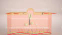 do mind blowing motion graphics