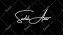do handwritten signature logo animation in gold or silver