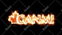 design you an awesome 2D intro