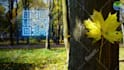 create professional explainer video