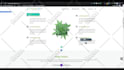 make a marijuana website