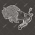 create a 2d motion graphics animation