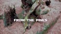 make an amazing animated lyric video