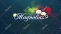 create awesome motion graphic intro outro logo animation