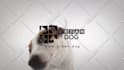 make funny dog licking video with your logo
