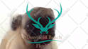 make a pug lick your logo or text only