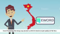 create a professional 2d animated explainer video for you