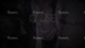 create a word by word animated lyric video for your song