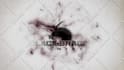 create amazing ink dragon logo intro