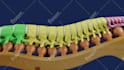 3d video animation products