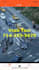 provide vietnamese voice over and dubbing video