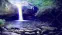 create an amazing image animation