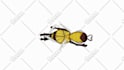 animate picture, images, and icons to make them alive