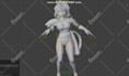 do professional 3d rigging in blender