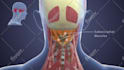 do 3d medical product and device animation