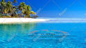 create floating logo intro in calm water