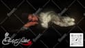 animate your picture or photo beautifully