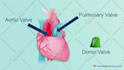 create medical or healthcare 2d animated explainer video