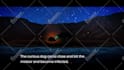 make 3d, 2d custom logo animation for your brand