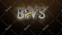 do stunning animated logo intro videos in 24 hours