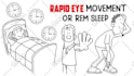 create a whiteboard animation or ai explainer video