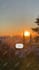 animate social media banner, GIF,  header, ads