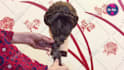 make beautiful hairstyling tutorials for utube instagram