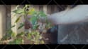 produce a quality cinematic video