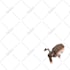 create cute 3d character from a 2d image or photo