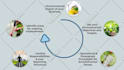 create edit your online elearning course ready to sell