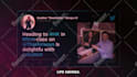 do documentary videos like jake tran, james jani, sunnyv2, johnny harris and vox