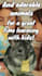 make you an awesome book trailer