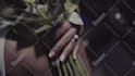 do professional wedding film editing