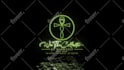 produce a custom dynamic logo animation