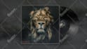 design a mixtape cover or album cover