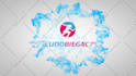 eye catching smoke logo intro video animation