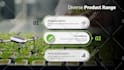 design professional pitch deck